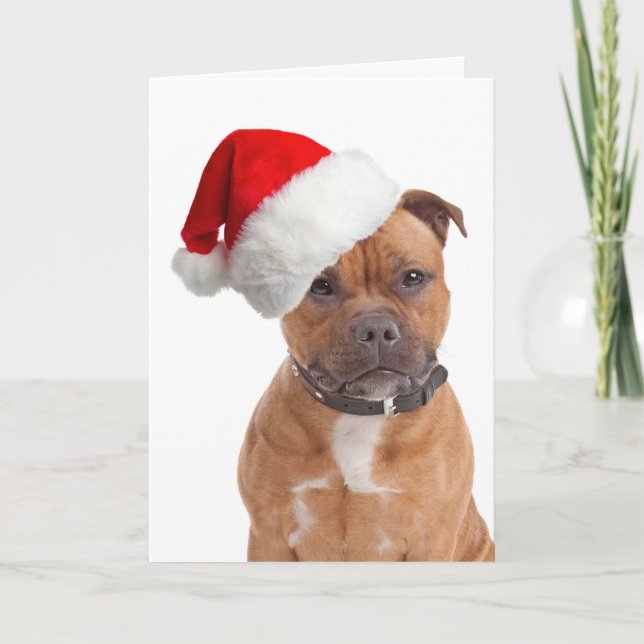 Santa Staffie Christmas Card (Front)