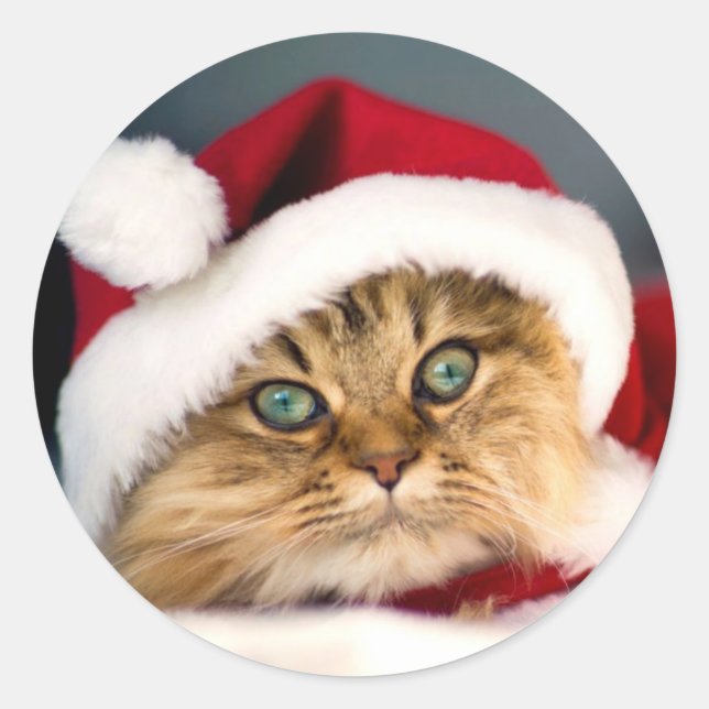 Santa Tabby Cat  Classic Round Sticker (Front)