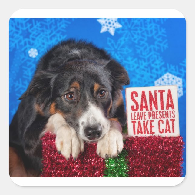 Santa take cat square sticker (Front)