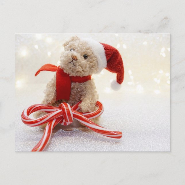 Santa Teddy Bear Postcard (Front)