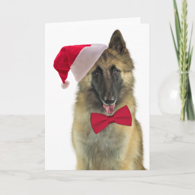 Santa Tervuren Christmas Card (Front)