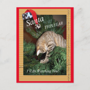 Santa The Cat Will Be Watching You Postcard