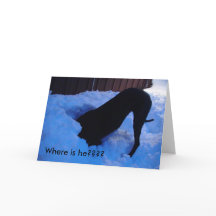 Santa - Where is he????