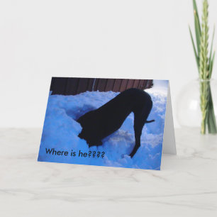 Santa -  Where is he???? Holiday Card