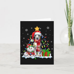 Santa Whippet With Elf Cat Christmas Lights Owner Card