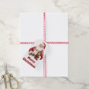 Santa with gift on charming tag