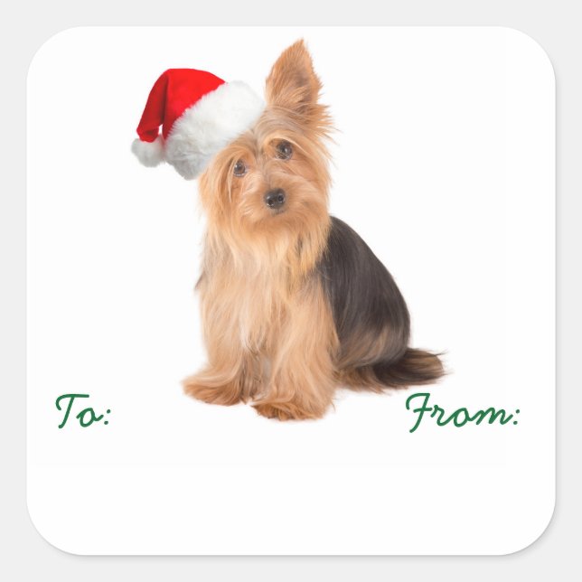 Santa Yorkie Gift Stickers (Front)