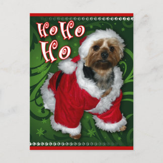 Santa Yorkie Postcard