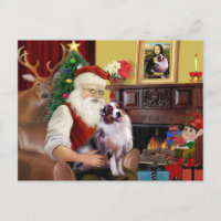 Santa's Australian Shepherd (merle)