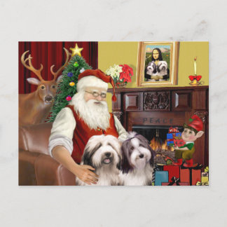 Santa's Bearded Collie Holiday Postcard