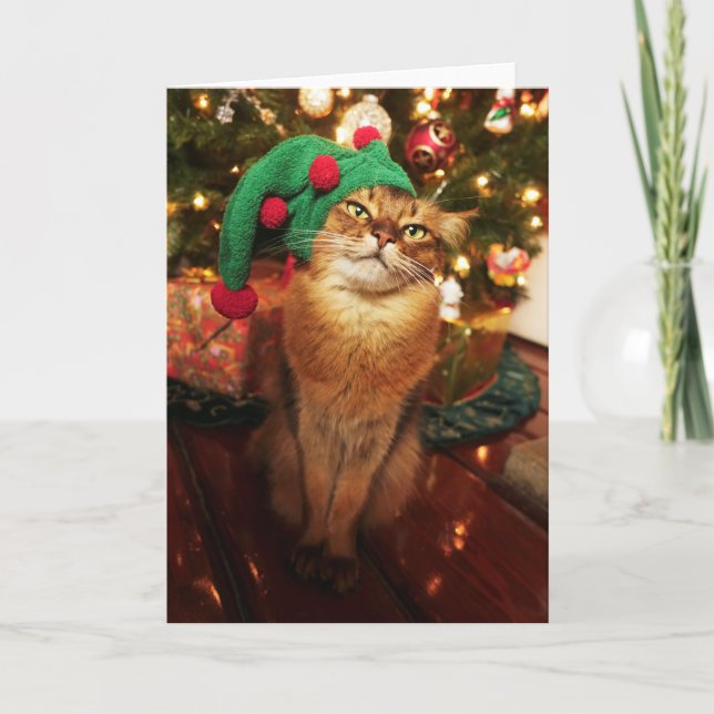 Santa's Elf Kitty Somali Cat Christmas Card (Front)