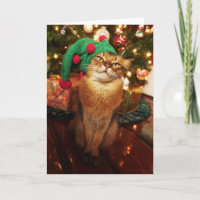 Santa's Elf Kitty Somali Cat Christmas Card