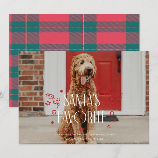 Santa's Favourite Silly Pet Photo Holiday Card (Front/Back)