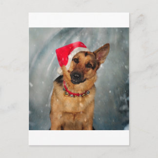 Santas helper holiday postcard