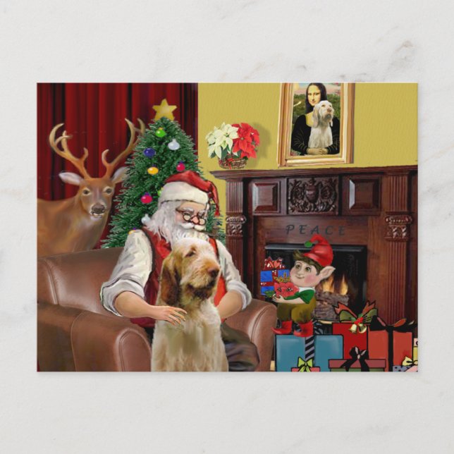 Santa's Itlaian Spinone Holiday Postcard (Front)