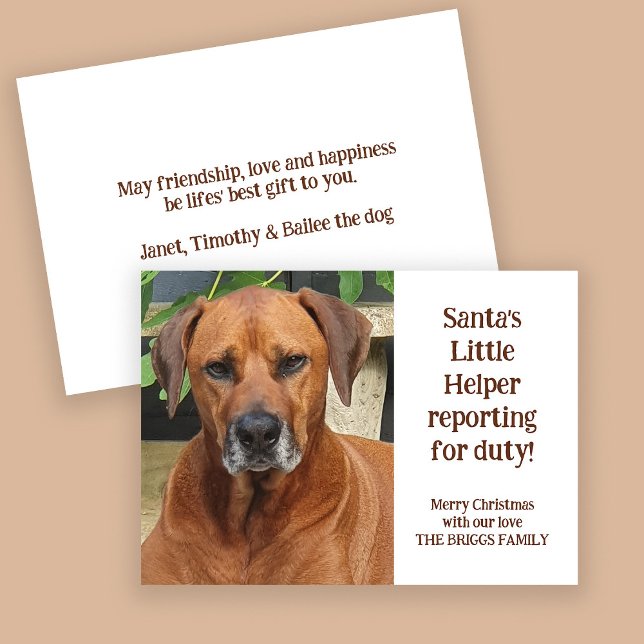 Santa's Little Helper Custom Pet Photo Christmas Holiday Card (Front and back view)