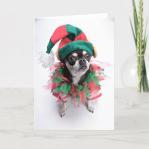 Santa's Little Helper Elf Dog Holiday Card