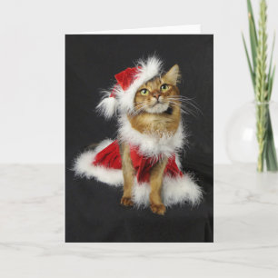Santa's Little Helper Somali Cat Christmas Holiday Card