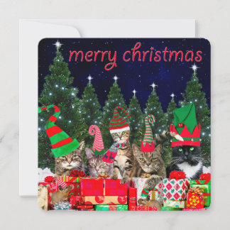 "Santa's Little Mousers" - Cat Christmas Card