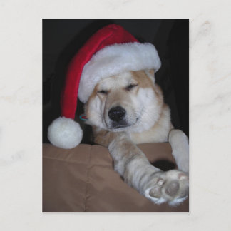 Santa's Little Shiba-Inu Helper Holiday Postcard