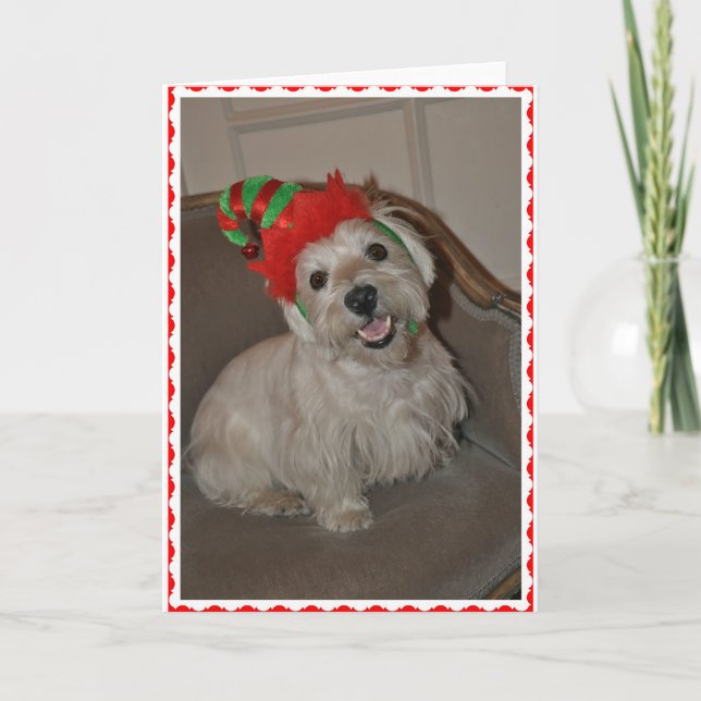 Santa's Little Westie Elf Holiday Card (Front)