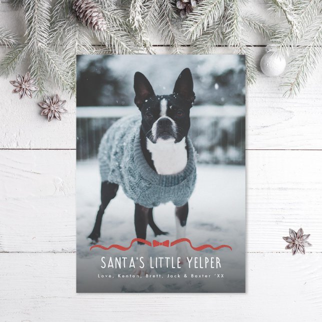 Santa's Little Yelper Cute Dog Christmas Photo Holiday Card (Creator Uploaded)