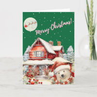 "Santa's Night Flight"