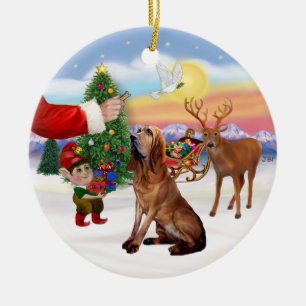 Santas Treat - Bloodhound Ceramic Tree Decoration