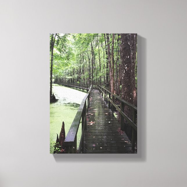 santee coastal reserve canvas print (Front)
