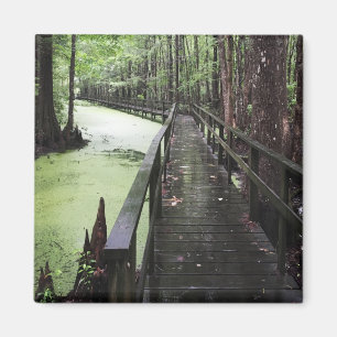 santee coastal reserve magnet