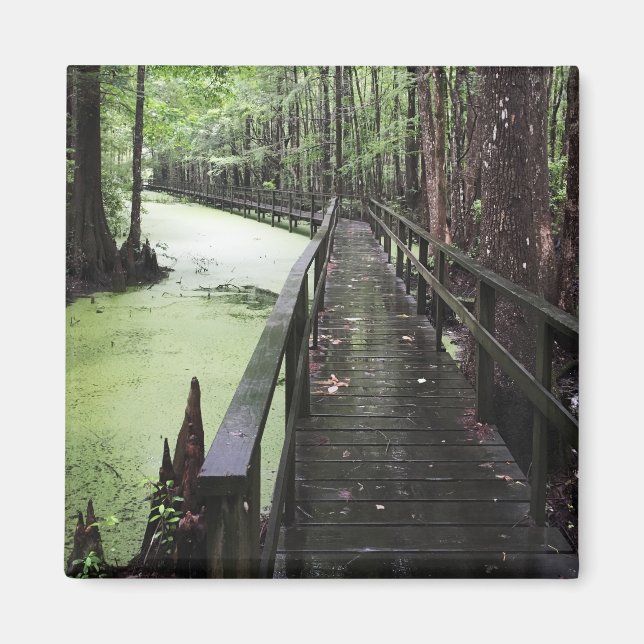 santee coastal reserve magnet (Front)