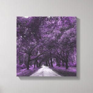 santee road canvas print