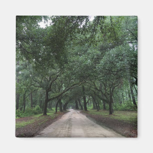 santee road magnet