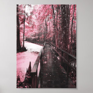 santee swamp dreamscape poster