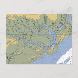 Santee swamp, SC Nautical Chart Postcard