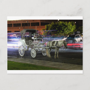 Santiago Dominican Republic Postcard