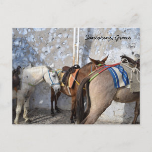 Santorini, Greece - Donkeys Postcard