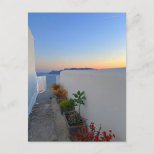 Santorini Greece Street Plants Sunset Postcard