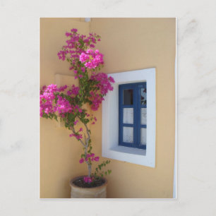 Santorini Window Postcard