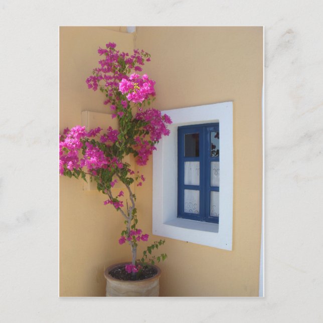 Santorini Window Postcard (Front)