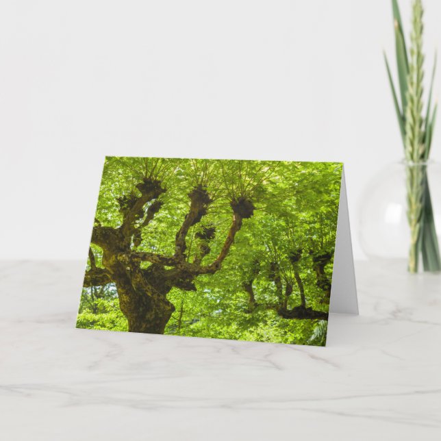 Sao Miguel Island Card (Front)