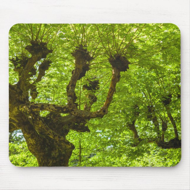 Sao Miguel Island Mouse Mat (Front)