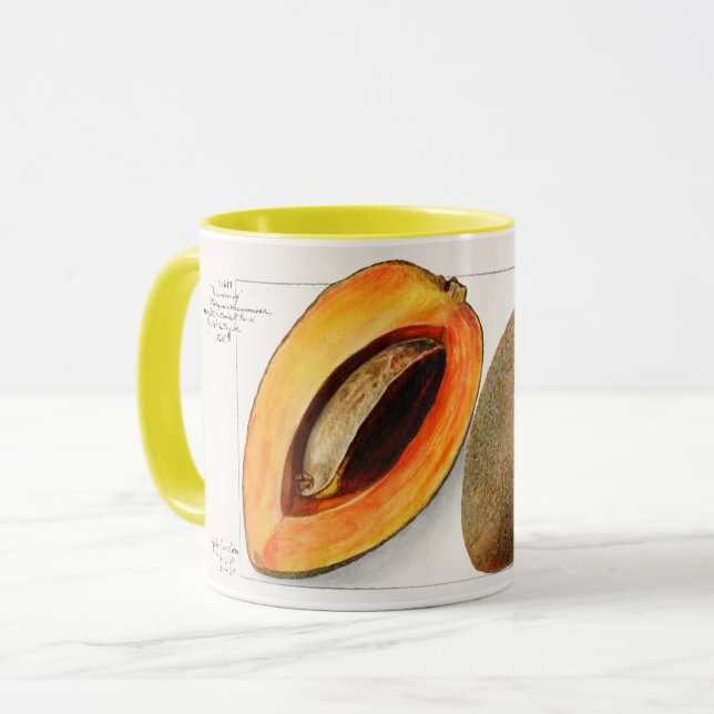 Sapote Mug (Front Left)
