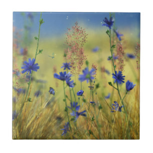 Sapphire & Gold Decorative Tile / Trivet