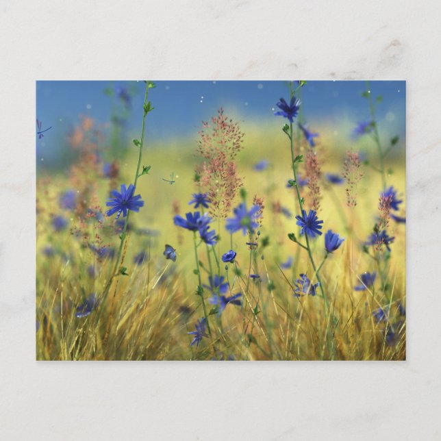 Sapphire & Gold Postcard (Front)