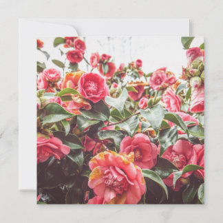 Sapphire Gold | Square Flat Card with Envelope