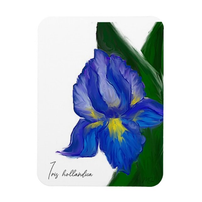 Sapphire Iris Magnet (Vertical)