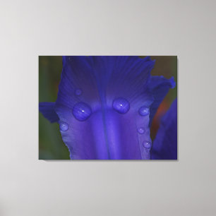 Sapphire Serenity Canvas Print