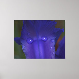 Sapphire Serenity Canvas Print