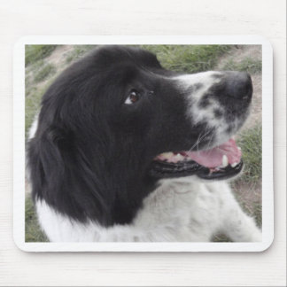 Sara Bulgarian Shepherd Dog Mouse Mat